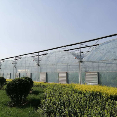 10000m2 Big Span Agriculture Multi Span Greenhouse Plastic Film Green House For Hydroponic Growing