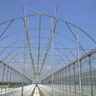 Agriculture Polycarbonate Sheet Greenhouse For Tomato Farming