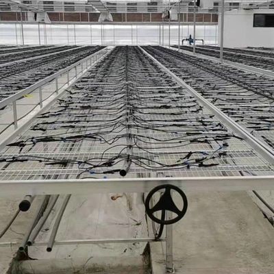 Diy Commercial Greenhouse Rolling Benches Galvanized Steel Mesh For Orchid Nursery Flowers Irrigation