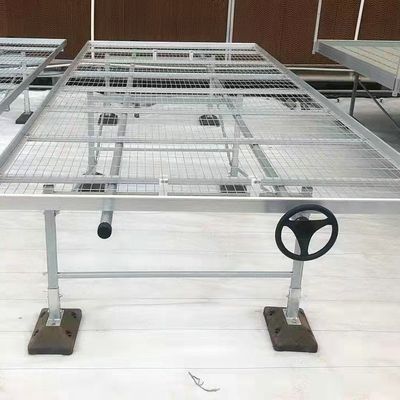 Diy Commercial Greenhouse Rolling Benches Galvanized Steel Mesh For Orchid Nursery Flowers Irrigation