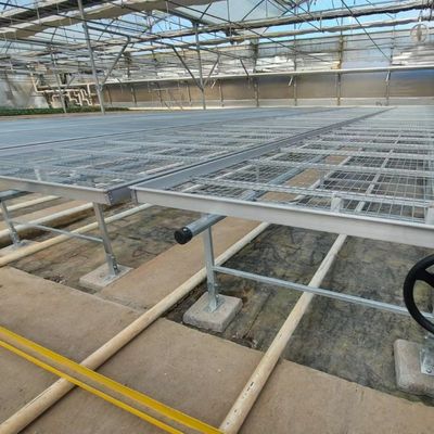 Diy Commercial Greenhouse Rolling Benches Galvanized Steel Mesh For Orchid Nursery Flowers Irrigation