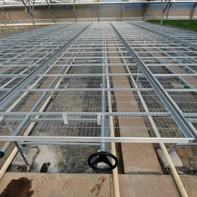 Diy Commercial Greenhouse Rolling Benches Galvanized Steel Mesh For Orchid Nursery Flowers Irrigation