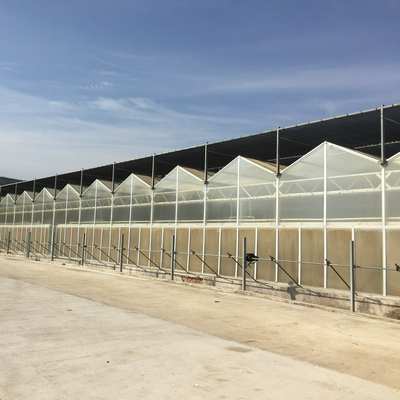 9x12 9x14 9x7 Board Polycarbonate PC Sheet Greenhouse For Hydroponic Growing System